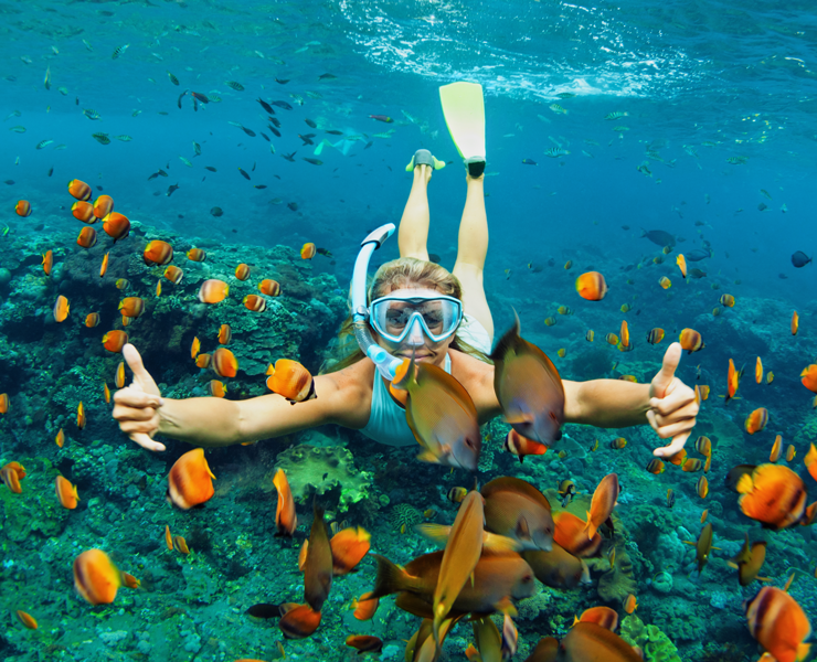 woman snorkeling in ocean amongst fish